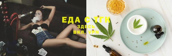 тгк Шадринск
