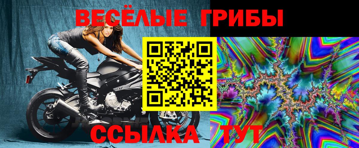 Галлюциногенные грибы мицелий  Белогорск  Галлюциногенные грибы Magic Shrooms 