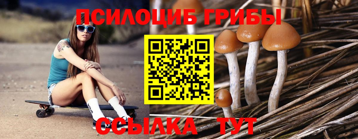 Псилоцибиновые грибы Psilocybine cubensis  Вход с VPN  Белогорск 